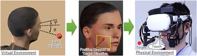 Evaluation of Spatial Directional Guidance Using Cheek Haptic Stimulation in a Virtual Environment